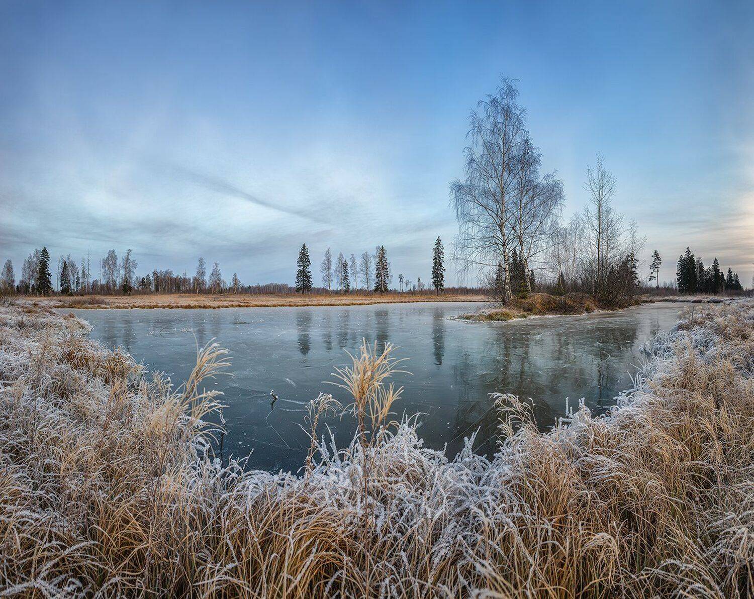 , Николай Андреев