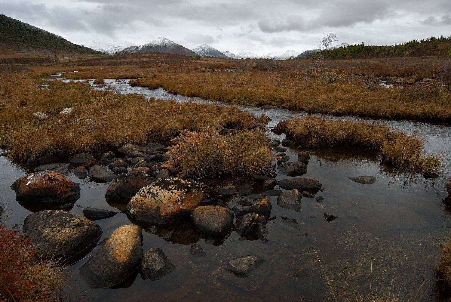 , Борис Леваков