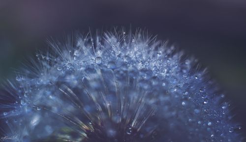 Хрустальный сон