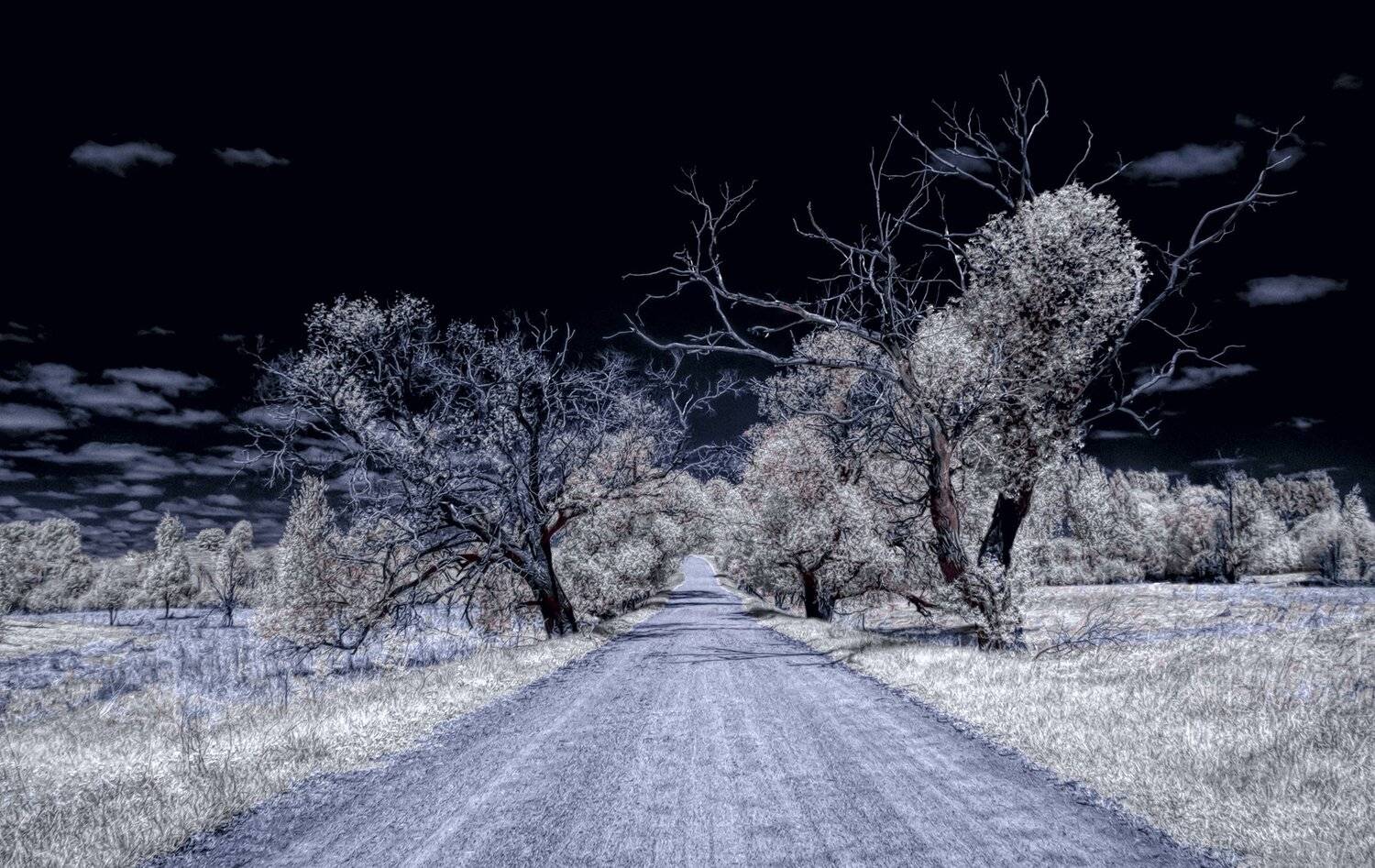 infrared,ик-фото,инфракрасное фото, инфракрасная фотография, пейзаж, весна, Sixten ( Сергей )