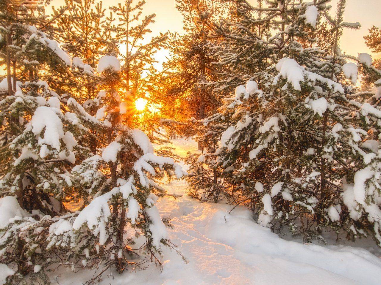 печора,коми,закат, Игорь Подобаев