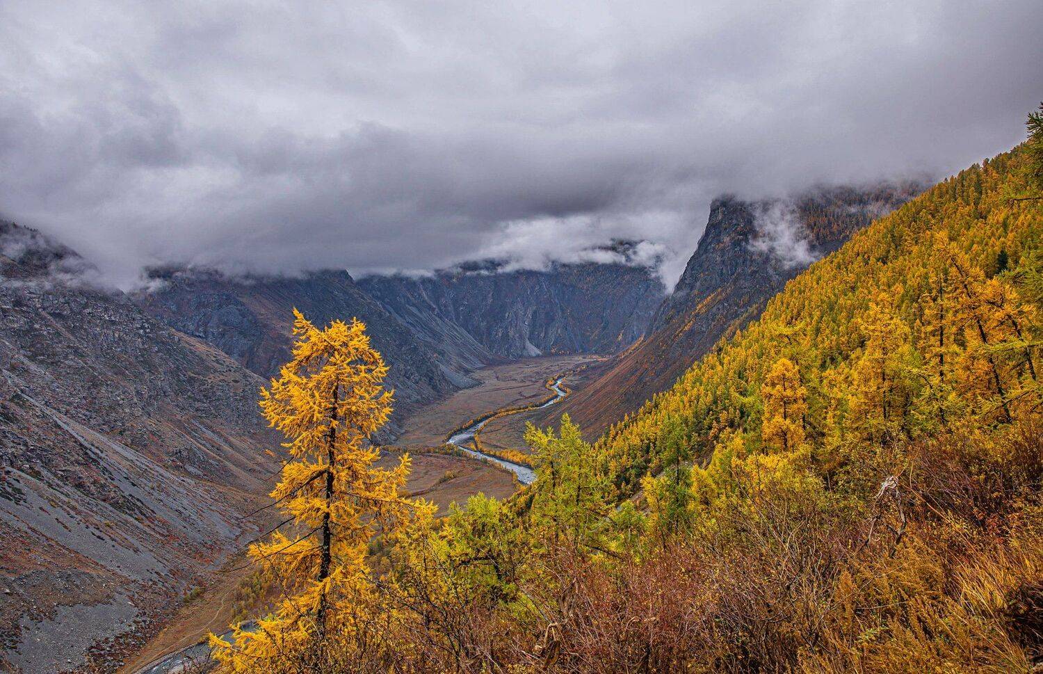 осень горы. алтай., Евгений Дроботенко