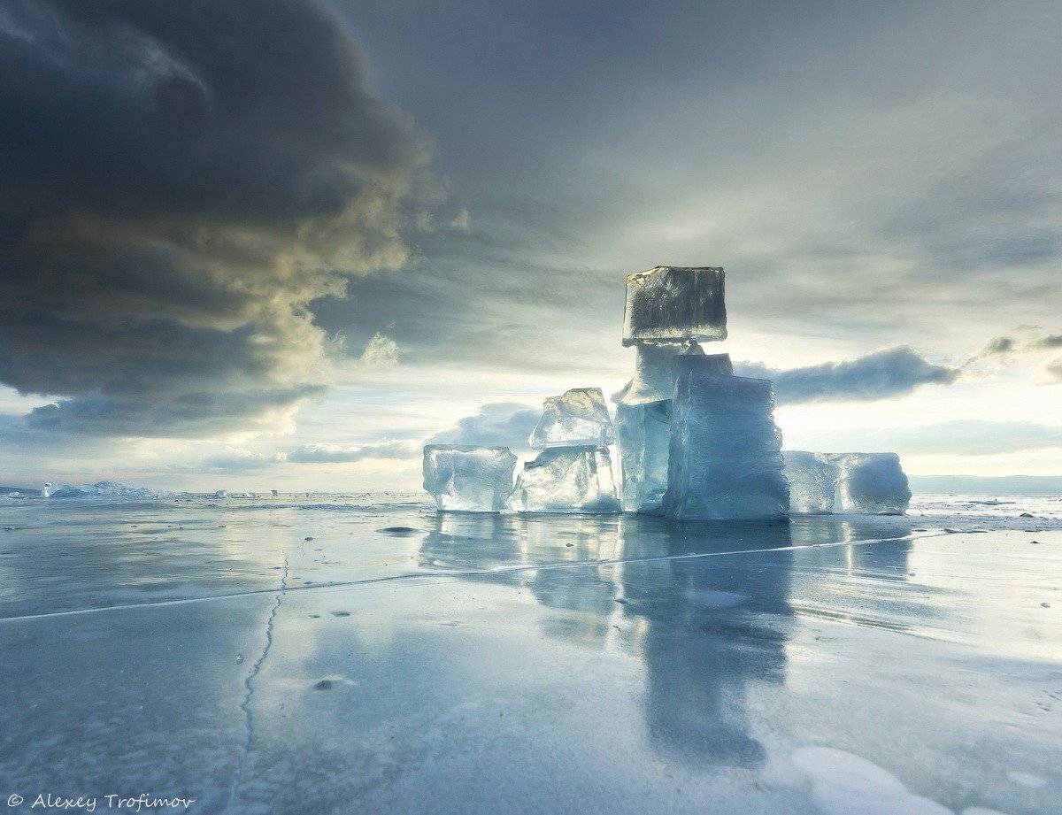 , Алексей Трофимов