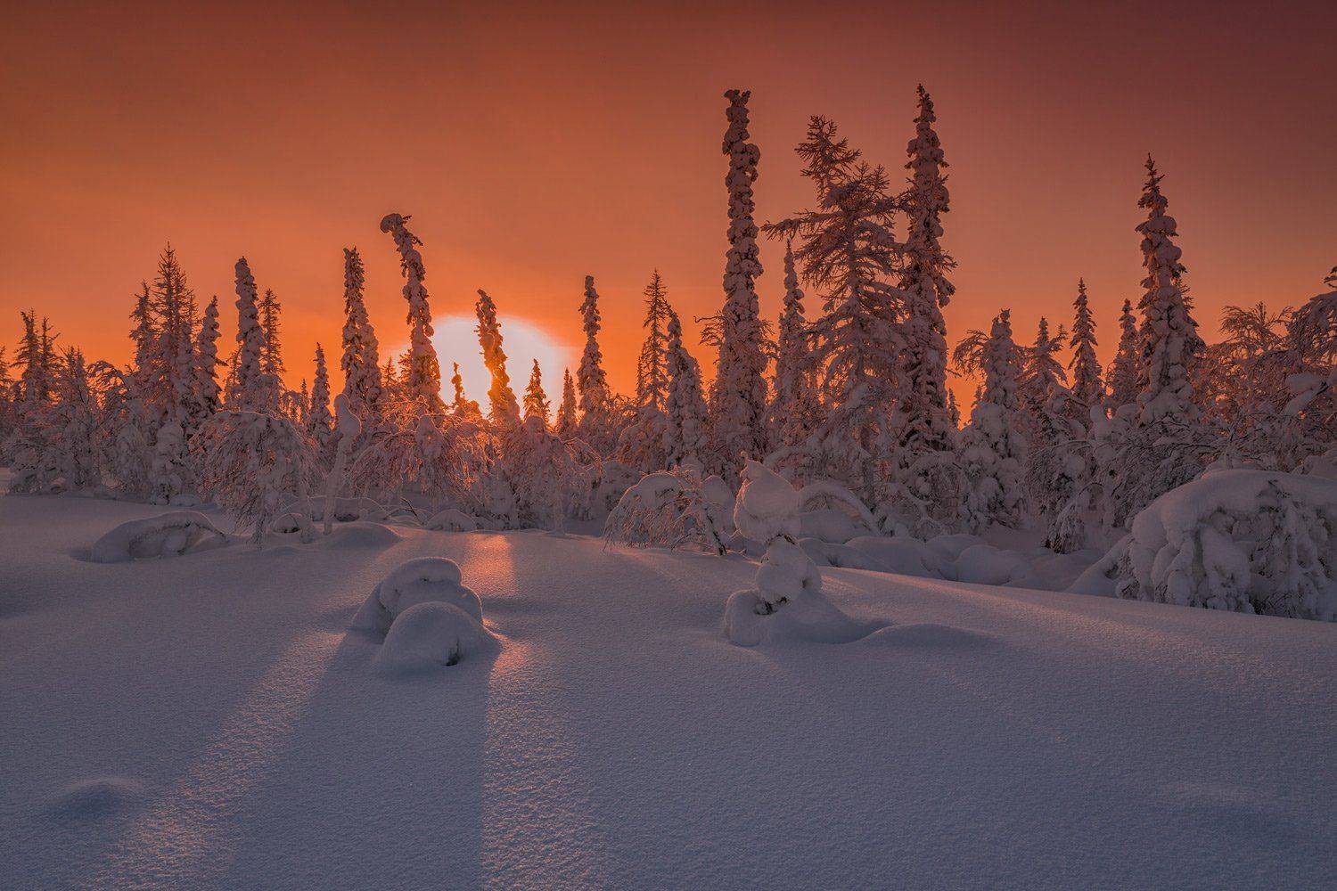 , Евгений Кужилев