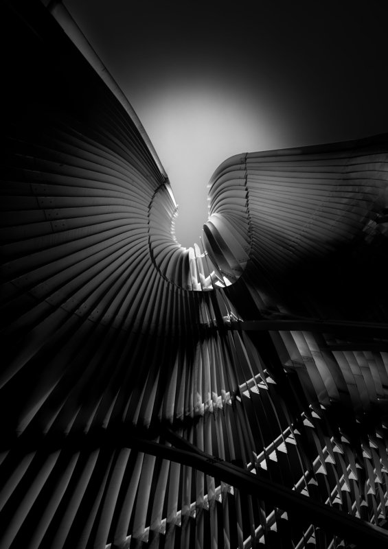 black and white Angel Suite фото превью