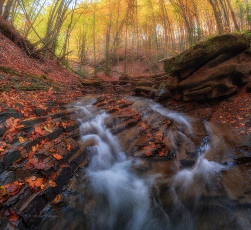 Осенние Лумшоры...