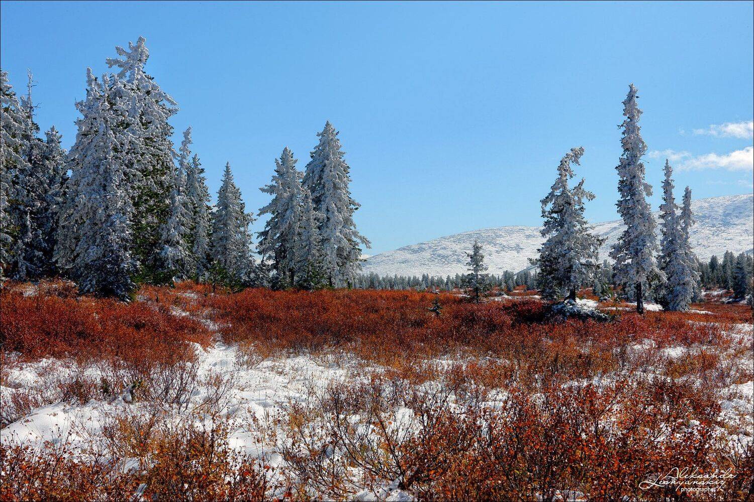 забайкальский край, Александр Леснянский