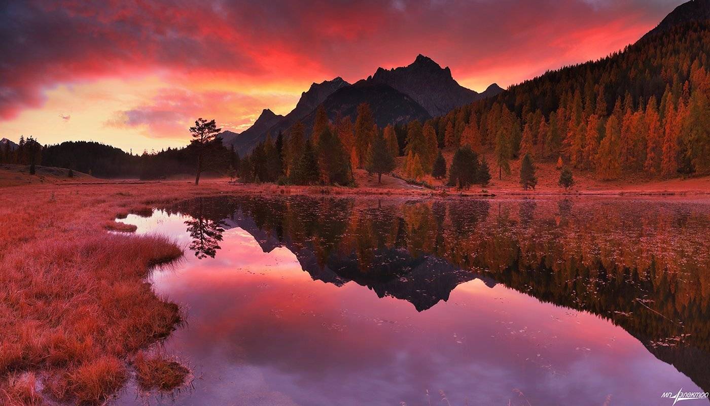 swiss, Матвеев Николай