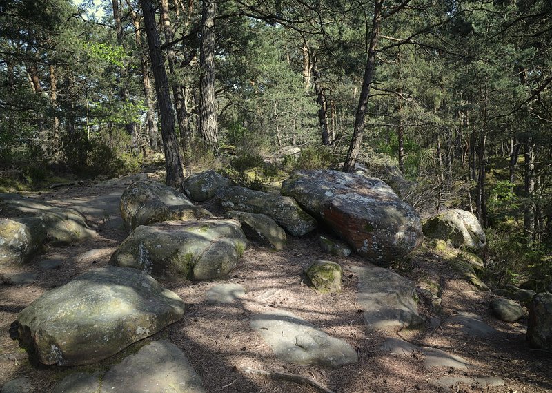 fontainebleau, france, forêt  фото превью