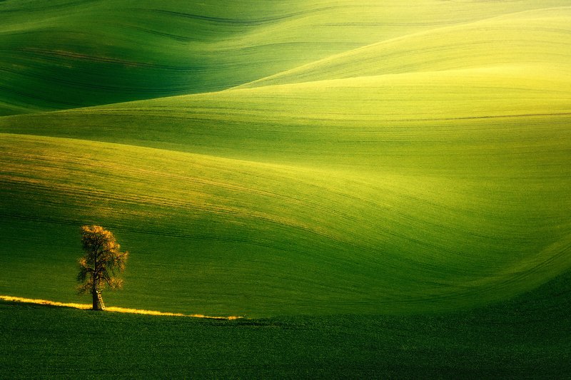 Alone in the light фото превью