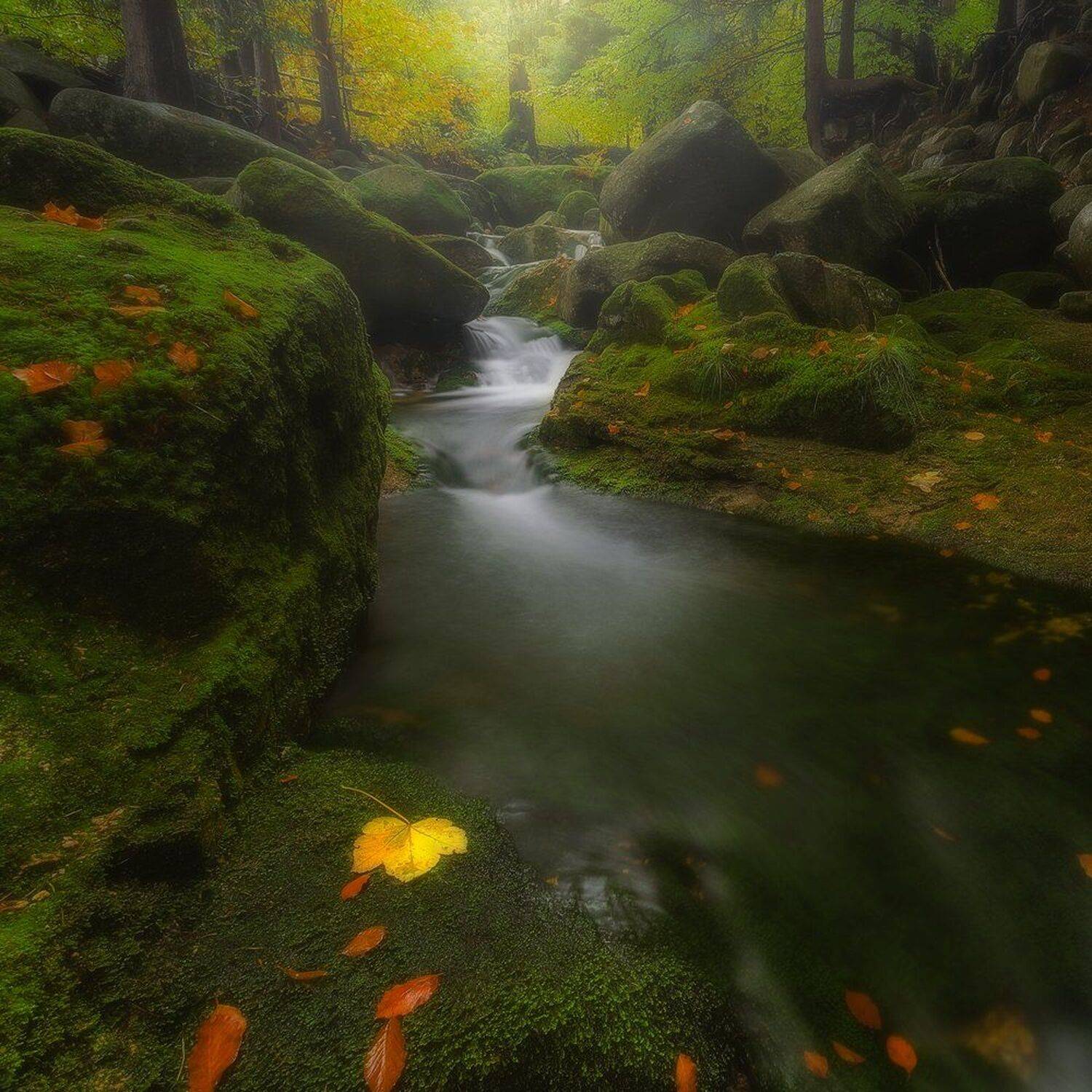 landscape,canon,mist,light,autumn, Iza i Darek Mitręga