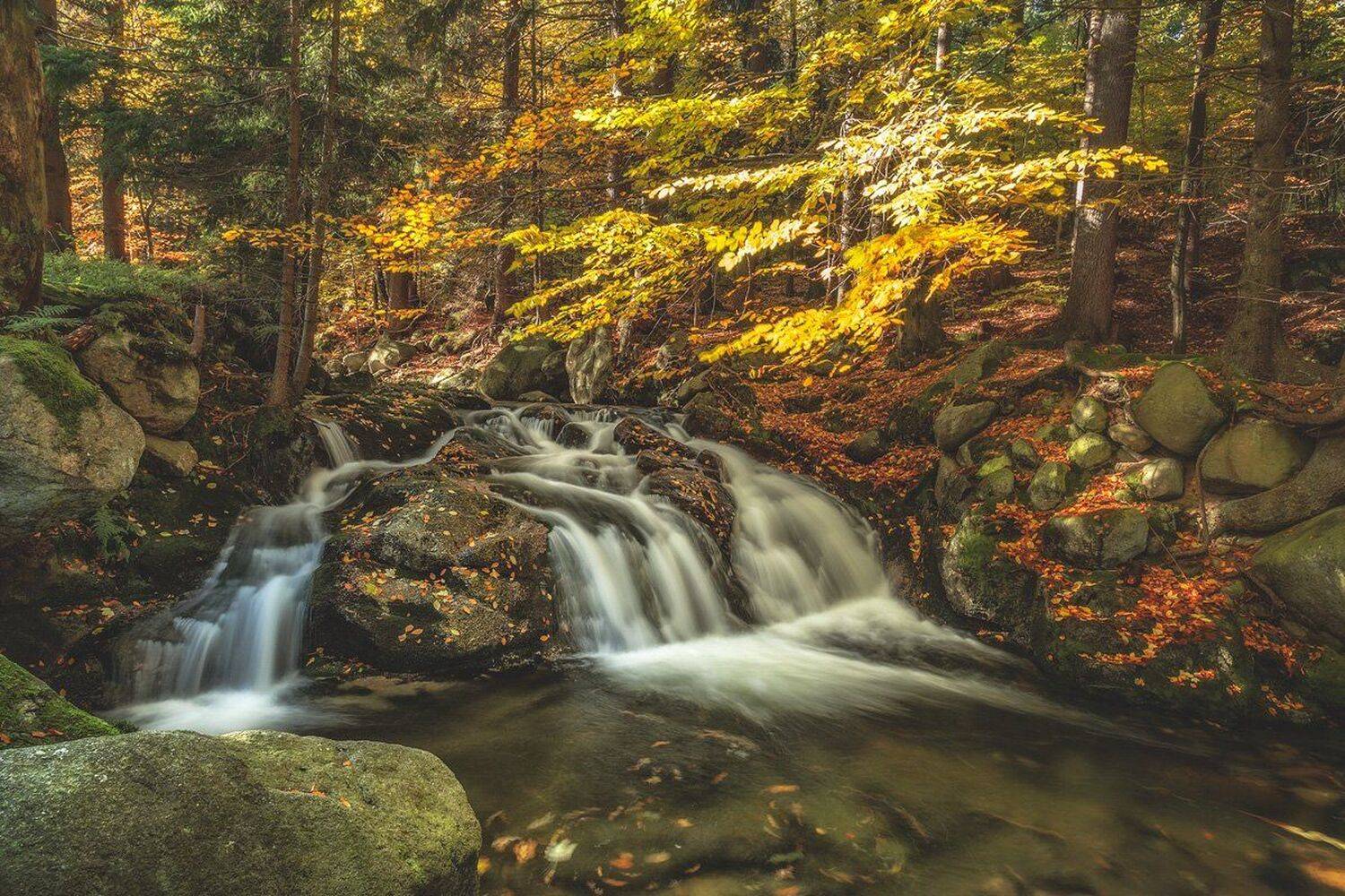 landscape,canon,mist,light,autumn,waterfall, Iza i Darek Mitręga