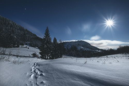 Footprints In The Snow....