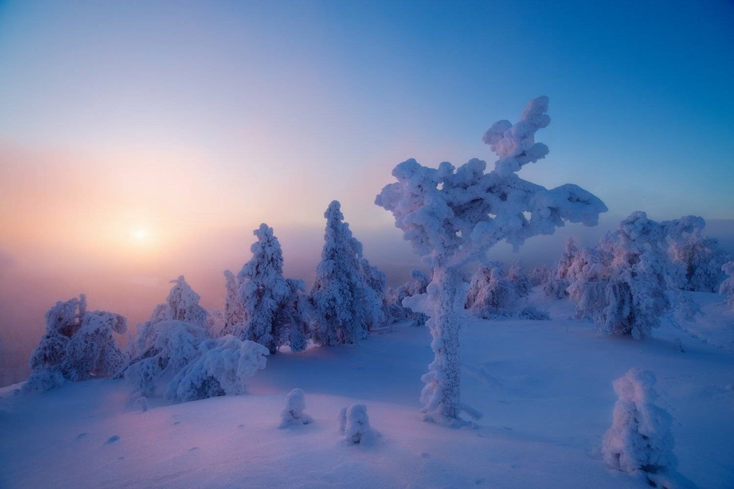 , Романский Владимир (NikonZoom)