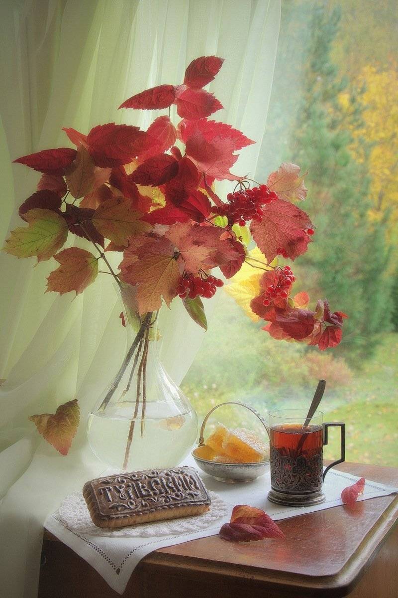 сергей алексеев, Сергей Алексеев