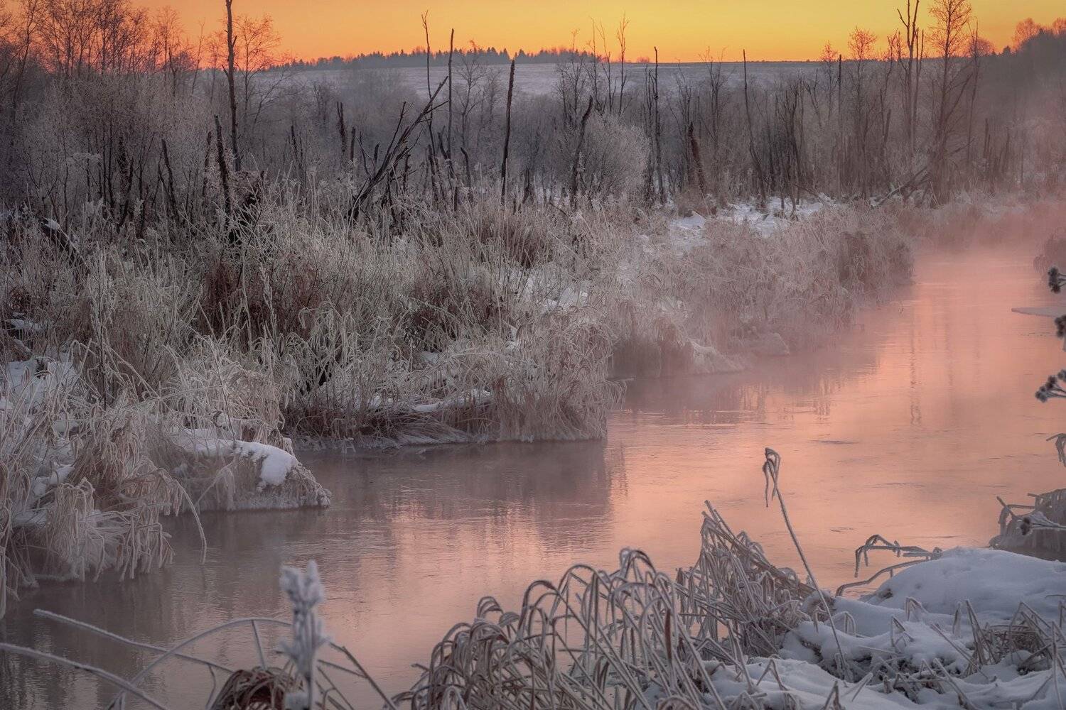 зима, болото, рассошка, река, утро, рассвет, туман, мороз, пермь, Андрей Чиж