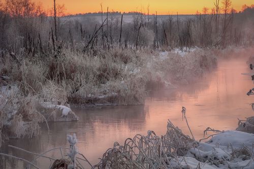 Зимнее болото на рассвете