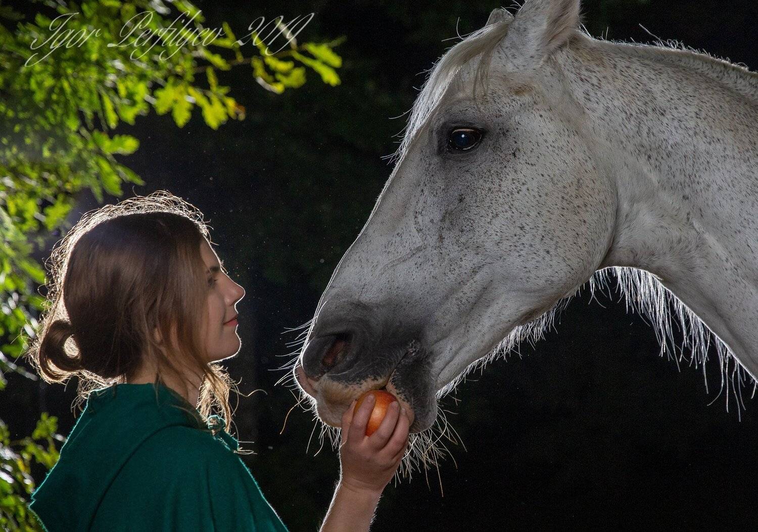 , игорь перфильев