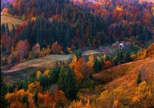 Autumn foliage trees in the mountains. Meadow with haystack and forest in the Carpathian mountains Fuji Velvia film