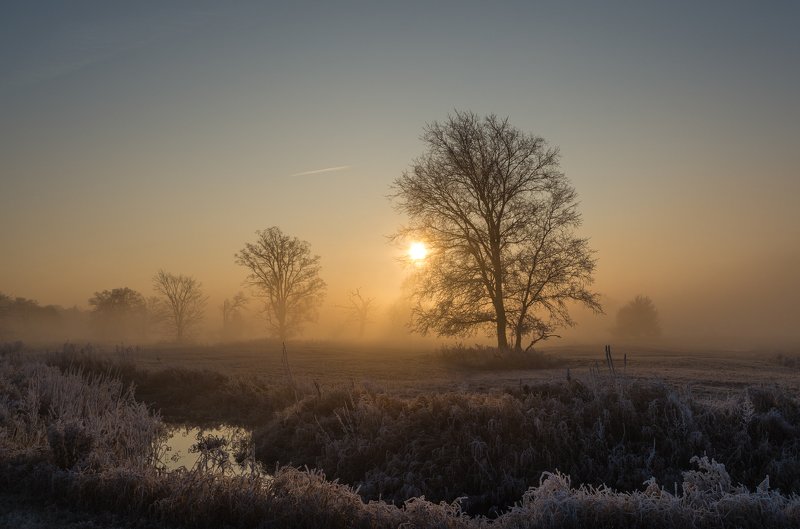 Foggy morning фото превью
