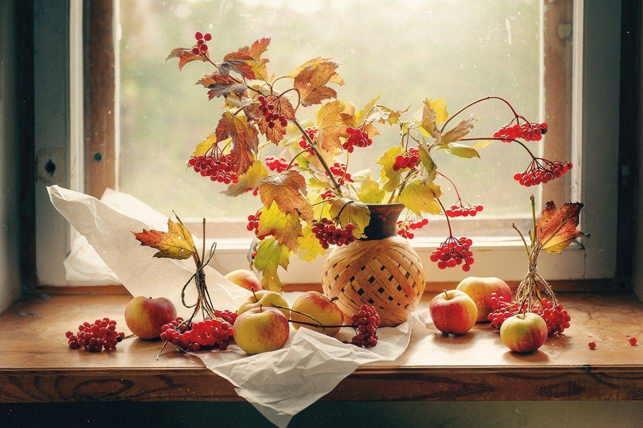 натюрморт, калина, яблоки, Бабинцева Мария