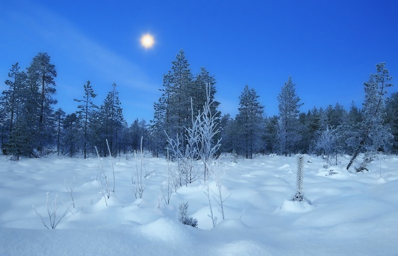 зима снег утро рассвет  фото превью