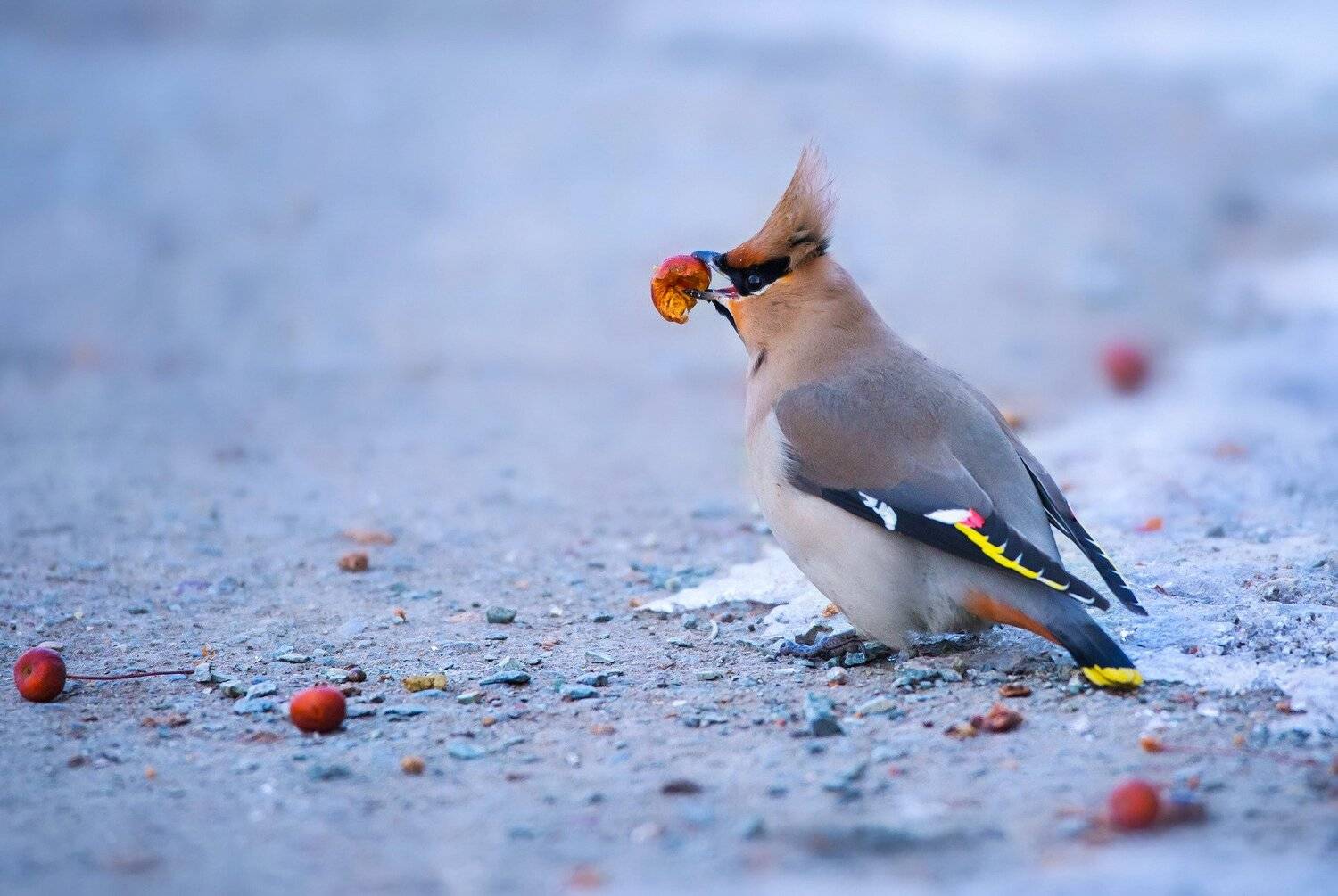 , Павел Сагайдак