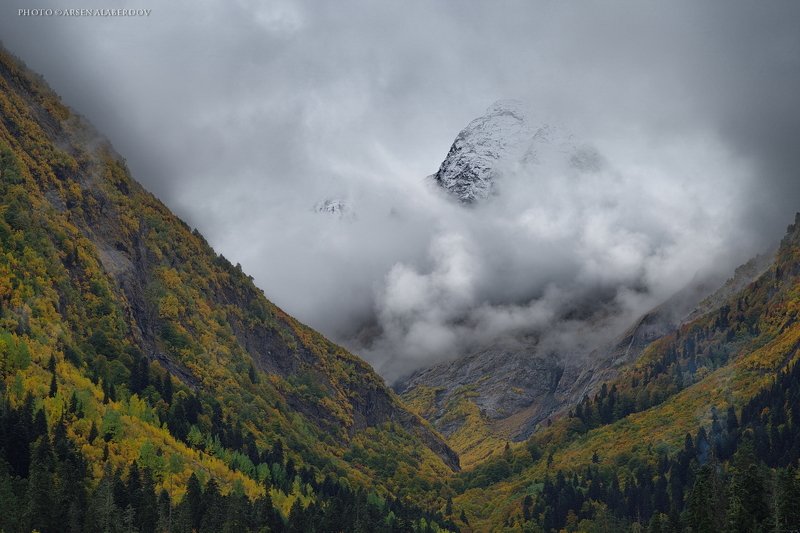 УЩЕЛЬЕ АМАНАУЗ фото превью
