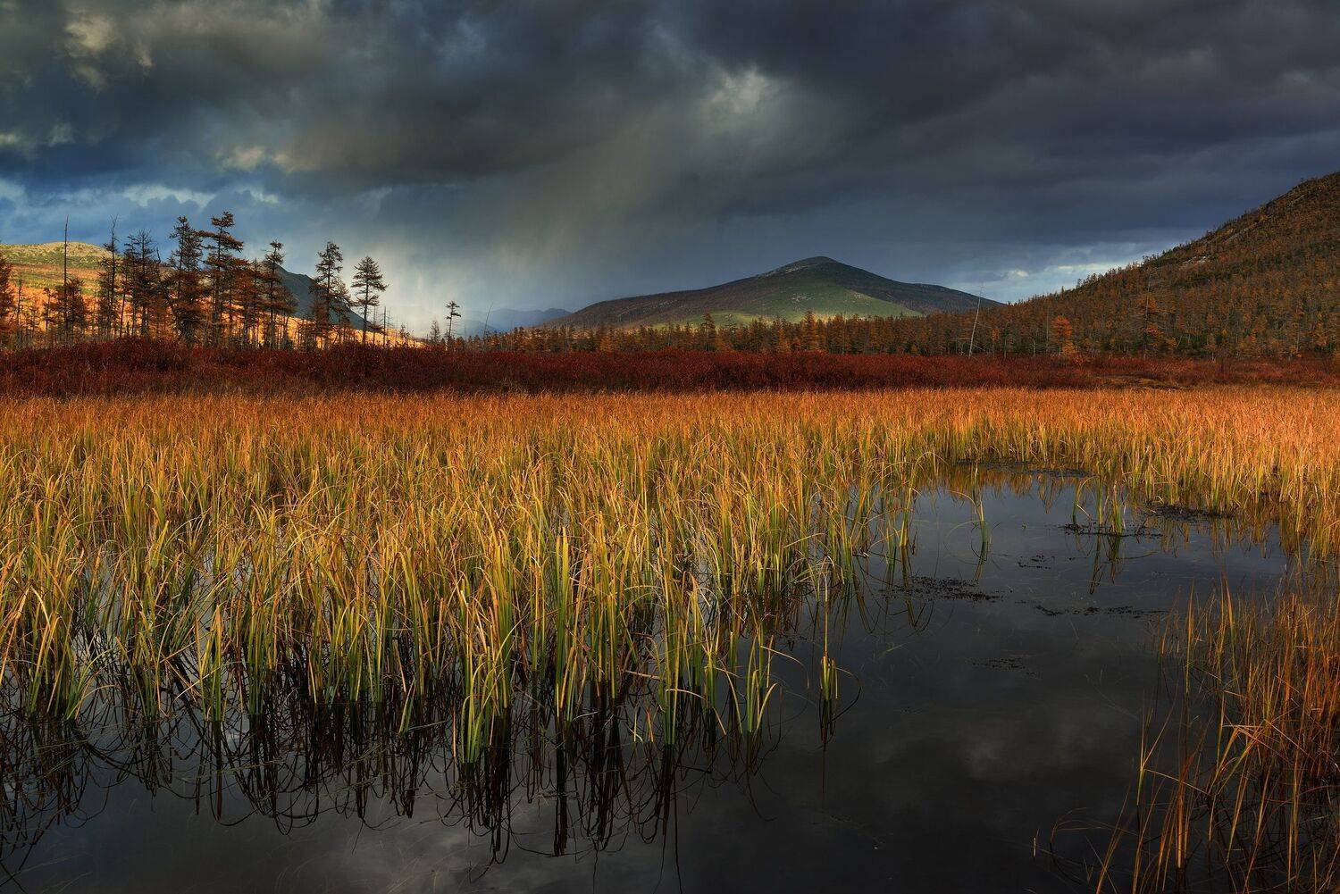 , Максим Евдокимов (phototourtravel.ru)