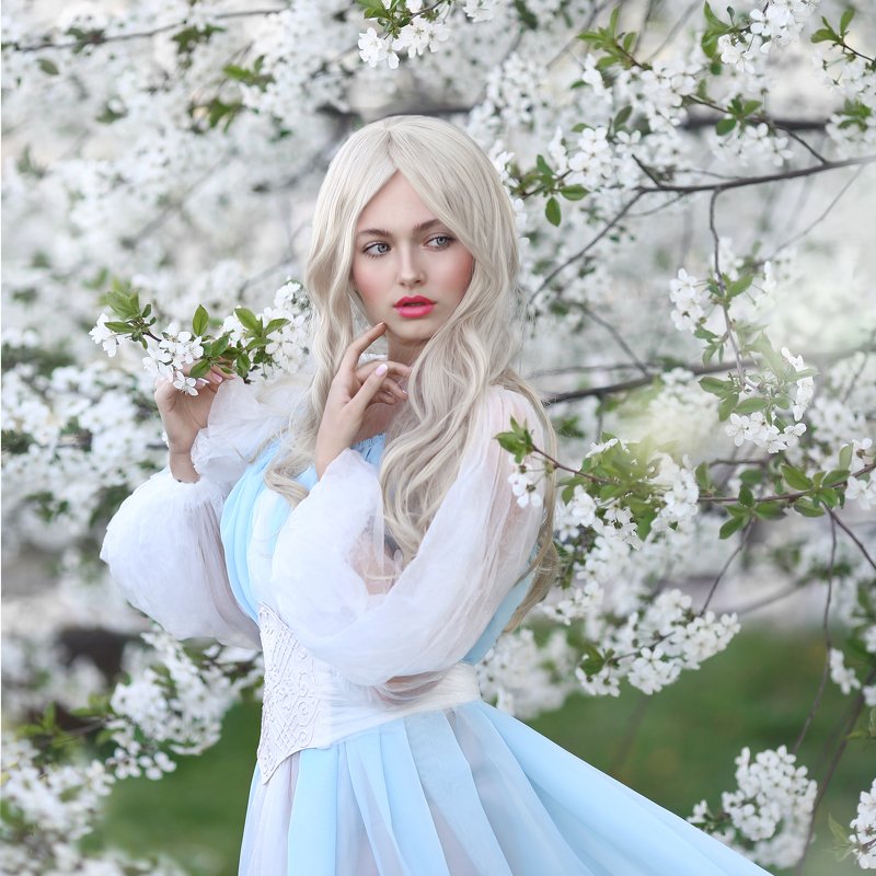 цветущая вишня, блондинка, белые волосы, весна, цветение, вишневый сад, голубое платье  фото превью