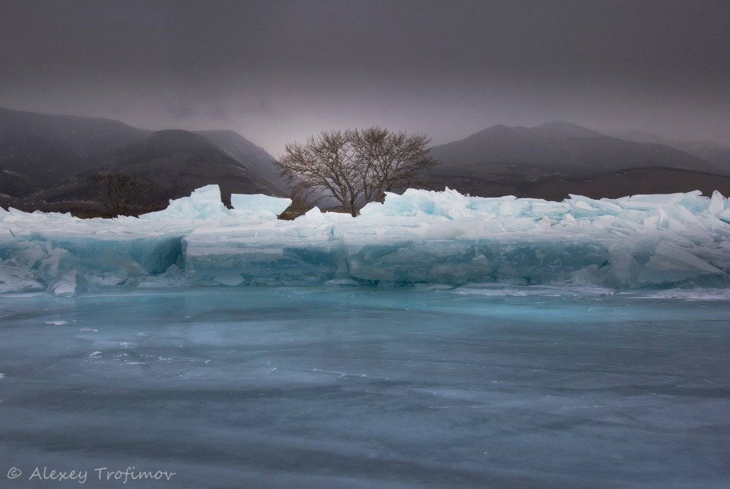 , Алексей Трофимов
