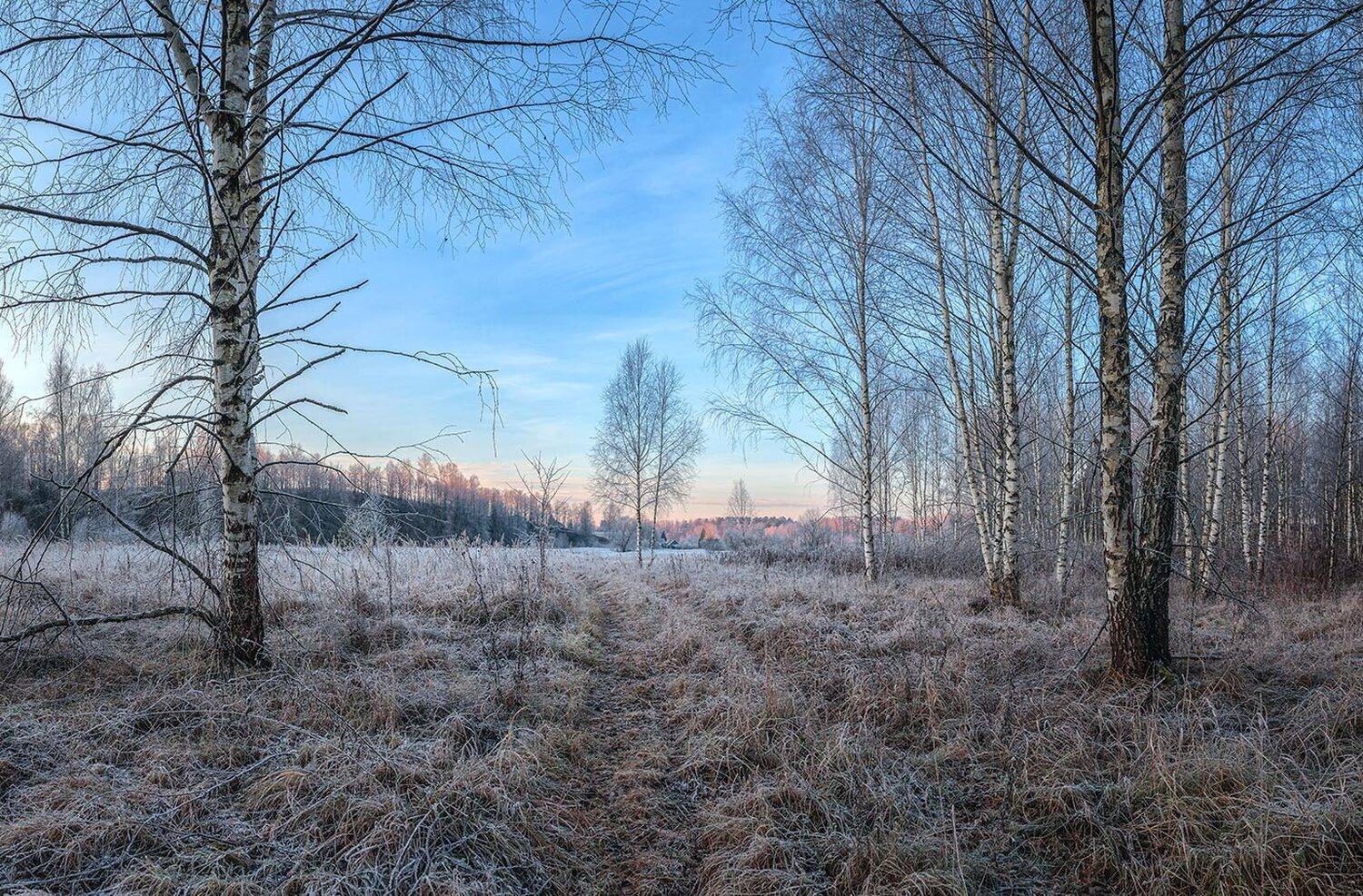 , Николай Андреев