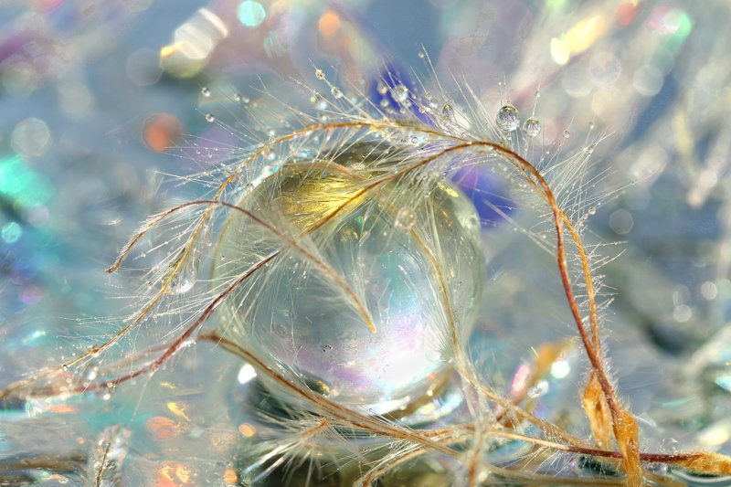 шар, стекло,  капли, боке Бокешки фото превью