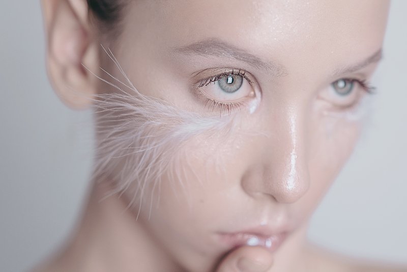 White Bird фото превью