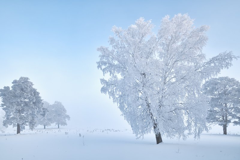 Кристальная чистота. фото превью