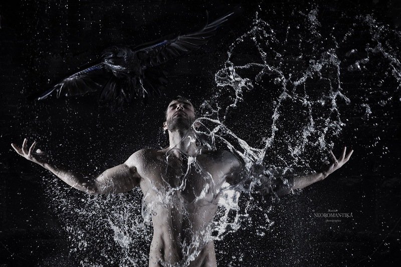 Вороны фото превью