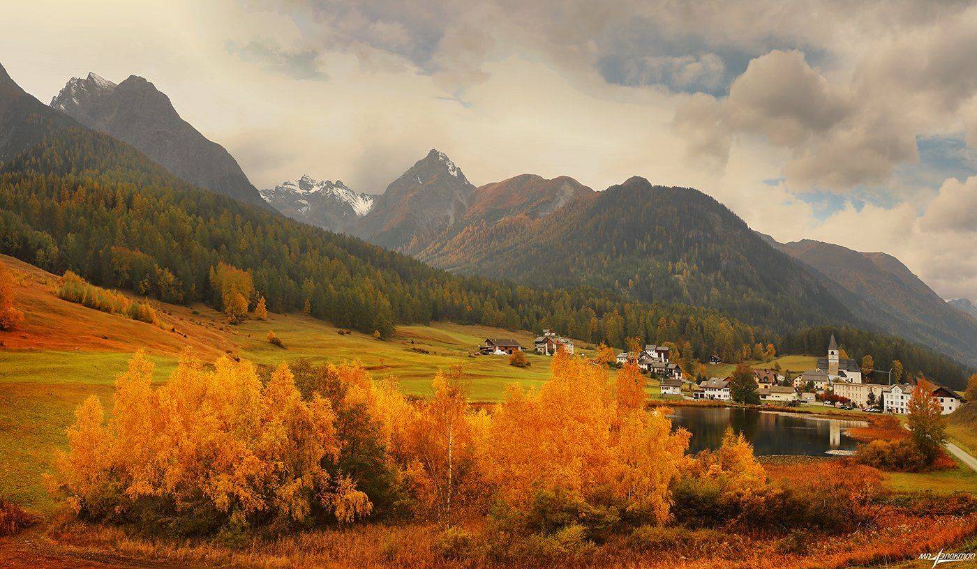 swiss, Матвеев Николай