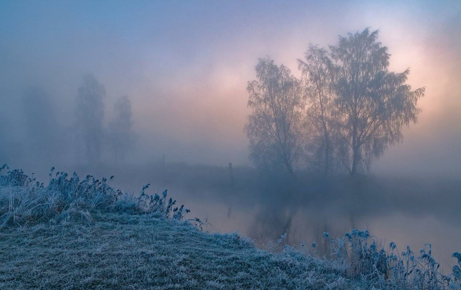 утро, свислочь, туман, иней, мороз, Александр Гвоздь