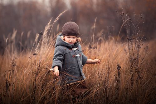 Алиса по полю пошла, но ничего там не нашла :-)