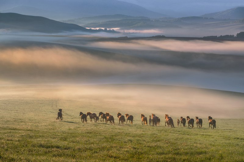 ....... фото превью