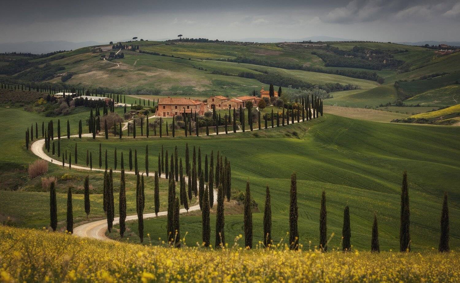 италия, поля, Александр Безмолитвенный