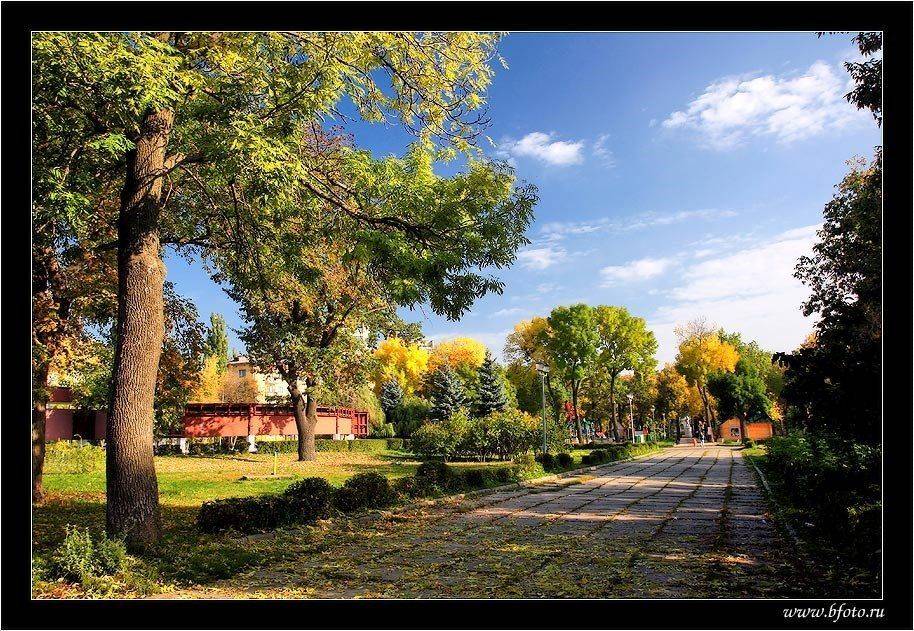 парк, осень, липецк, Алексей Строганов