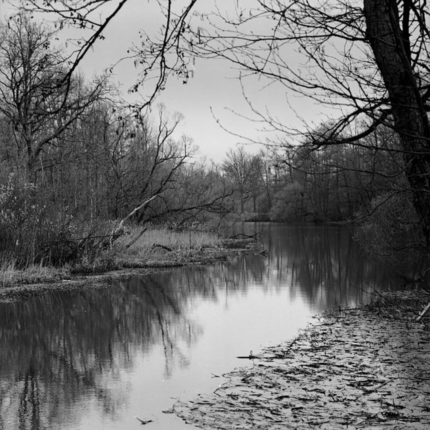 пленка, hasselblad, Андреев Андрей