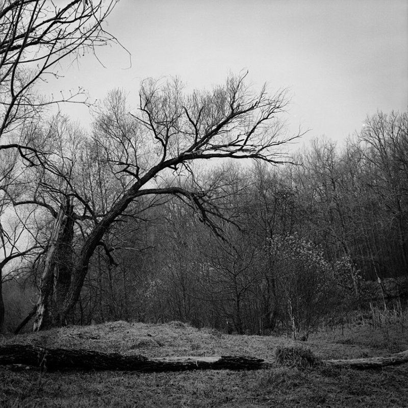 пленка, hasselblad Пенза, Ахуны 3 фото превью