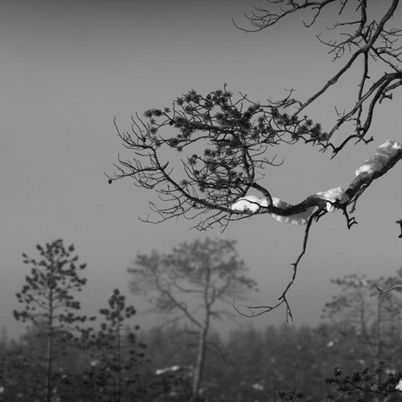 * фото превью