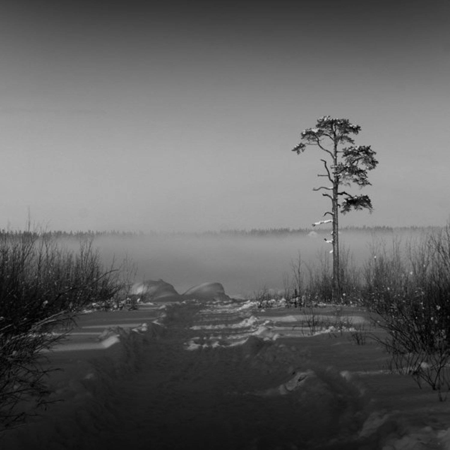 **, АлексеевПавЮр_schtadler