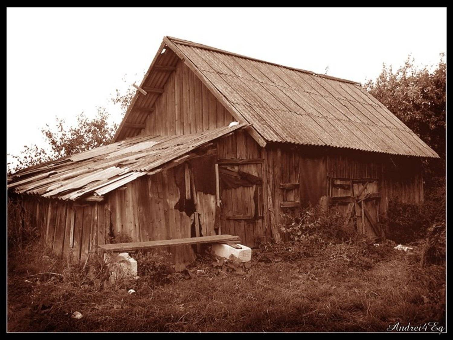 , Андрей Пипченко