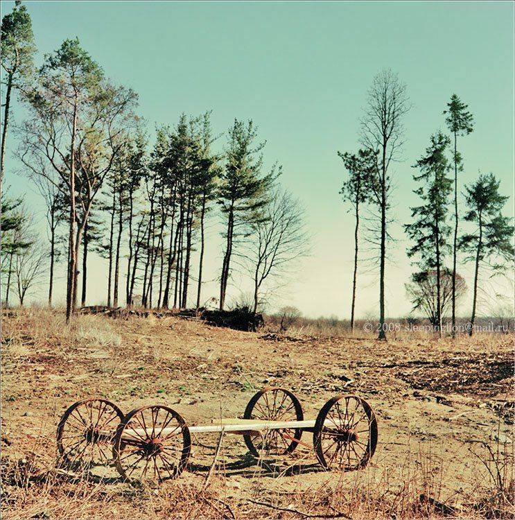 пейзаж, пленка, 120 film, средний формат, medium format, 6x6, mamiya c33 professional, pilgrim, Pilgrim