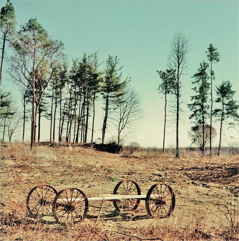 пейзаж, пленка, 120 film, средний формат, medium format, 6x6, mamiya c33 professional, pilgrim Passing time... фото превью