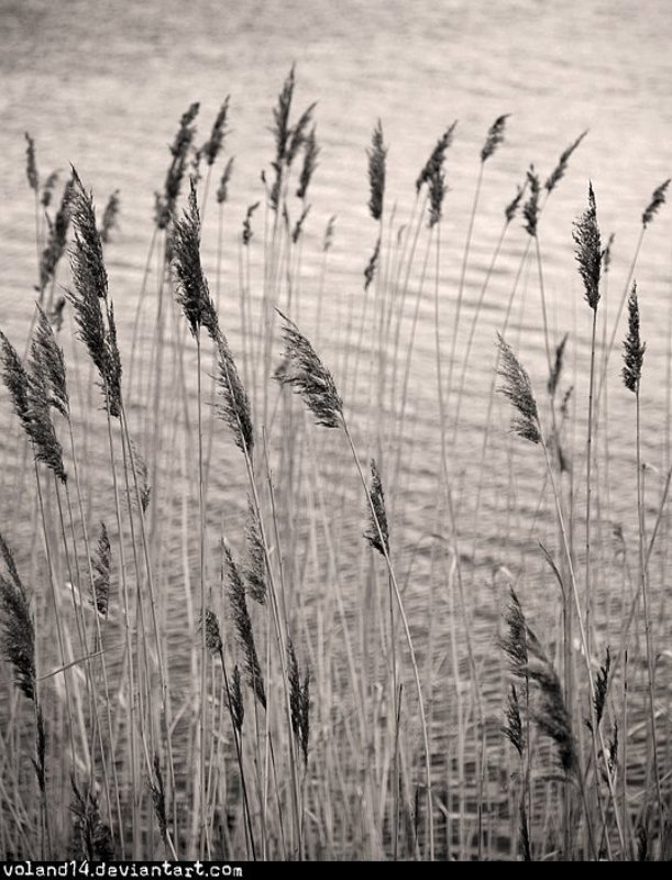 Silence must be sexy фото превью